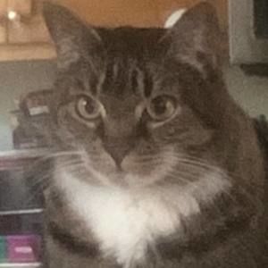 Meet your Posher, Ethan